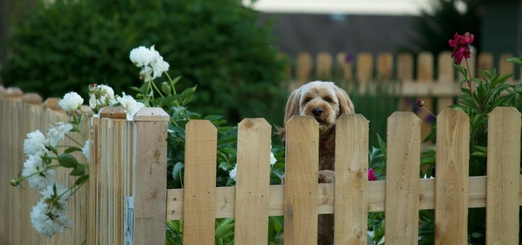 Secure dog fence installed in North Shore IL backyard by Atlantic Fence Inc for pet safety